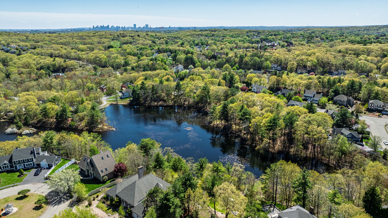 Aerial view of a lakeside neighborhood with a city skyline on the horizon